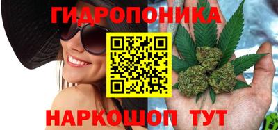 мдпв Ярославль
