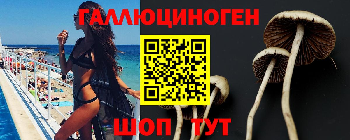 Галлюциногенные грибы Psilocybe Ангарск